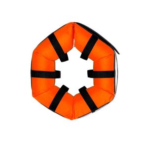 Orange watercollar