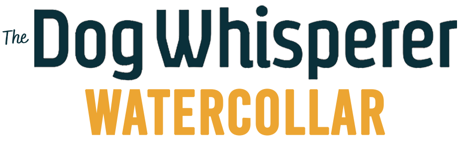 The Dog Whisperer HedzUP Logo