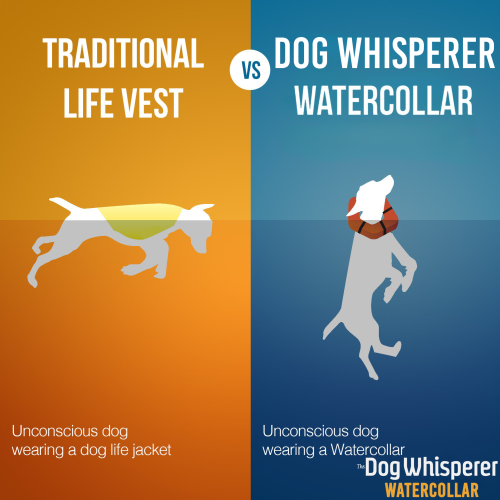 Watercollar comparision info graphic